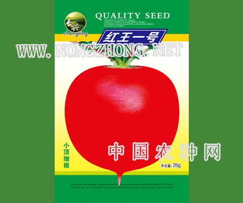 红王一号
